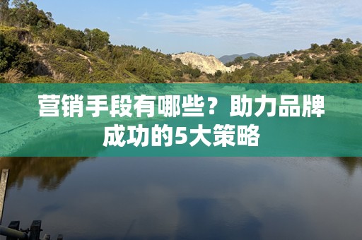 营销手段有哪些？助力品牌成功的5大策略