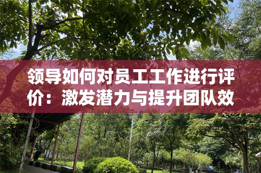 领导如何对员工工作进行评价：激发潜力与提升团队效率的关键