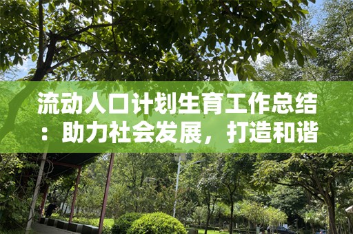 流动人口计划生育工作总结：助力社会发展，打造和谐未来