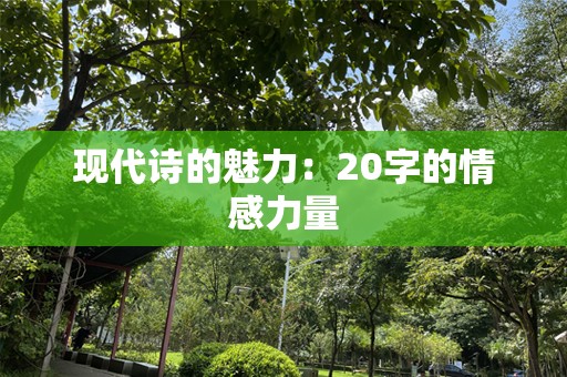 现代诗的魅力：20字的情感力量
