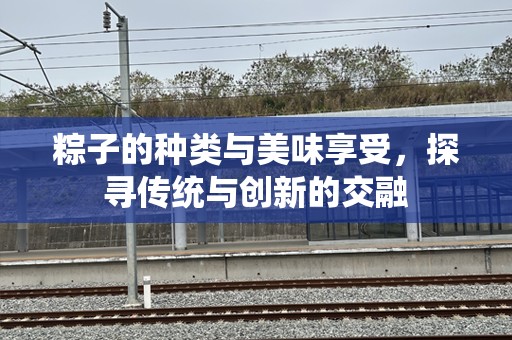 粽子的种类与美味享受，探寻传统与创新的交融