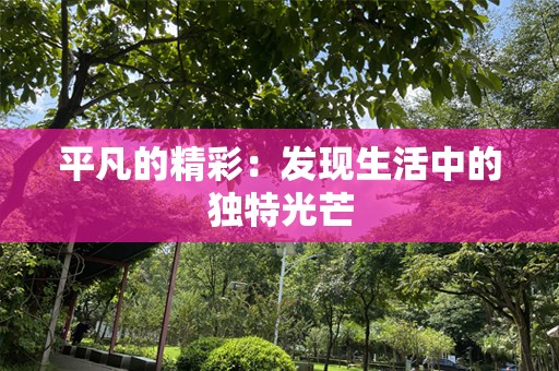 平凡的精彩：发现生活中的独特光芒
