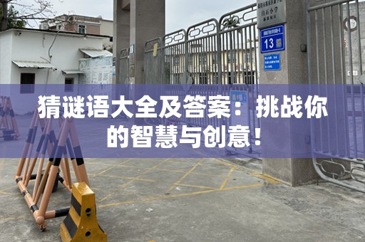 猜谜语大全及答案：挑战你的智慧与创意！