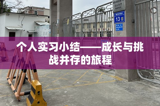 个人实习小结——成长与挑战并存的旅程