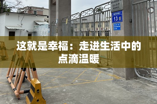 这就是幸福：走进生活中的点滴温暖