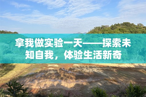 拿我做实验一天——探索未知自我，体验生活新奇