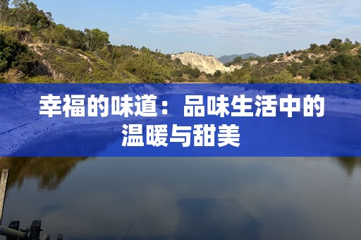 幸福的味道：品味生活中的温暖与甜美