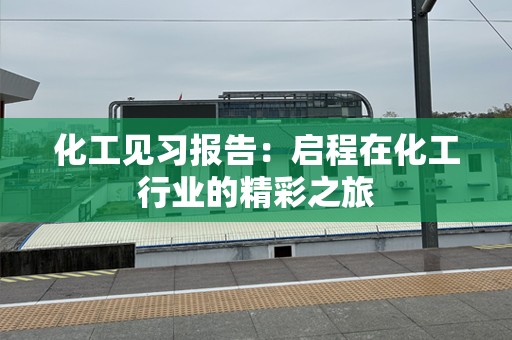 化工见习报告：启程在化工行业的精彩之旅
