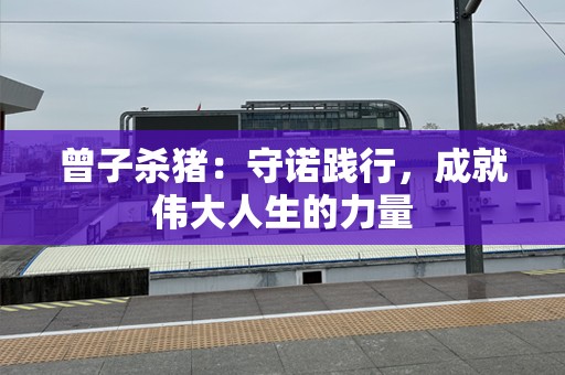 曾子杀猪：守诺践行，成就伟大人生的力量