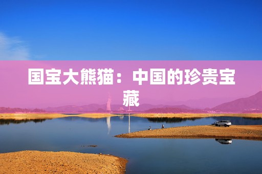 国宝大熊猫：中国的珍贵宝藏