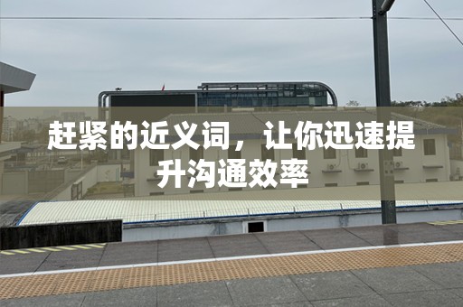 赶紧的近义词，让你迅速提升沟通效率
