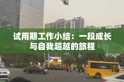 试用期工作小结：一段成长与自我超越的旅程