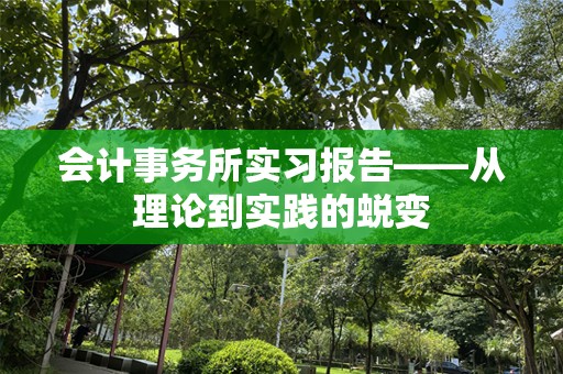 会计事务所实习报告——从理论到实践的蜕变