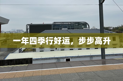 一年四季行好运，步步高升