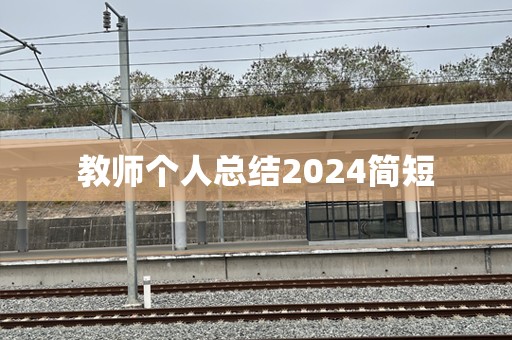 教师个人总结2024简短