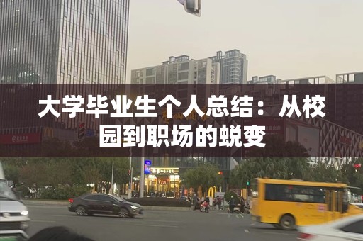 大学毕业生个人总结：从校园到职场的蜕变