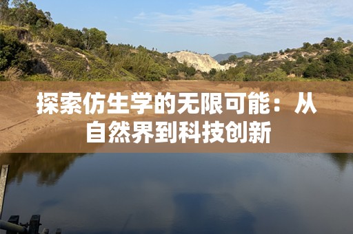探索仿生学的无限可能：从自然界到科技创新