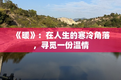 《暖》：在人生的寒冷角落，寻觅一份温情