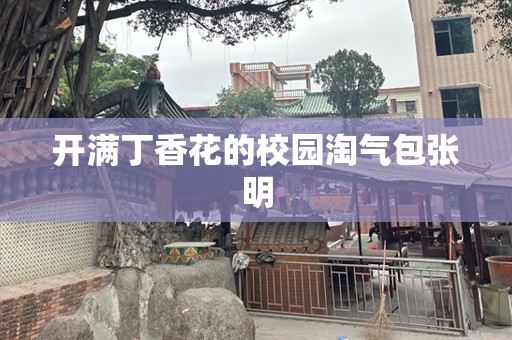 开满丁香花的校园淘气包张明