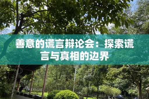 善意的谎言辩论会：探索谎言与真相的边界