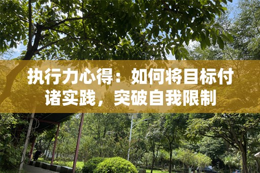 执行力心得：如何将目标付诸实践，突破自我限制
