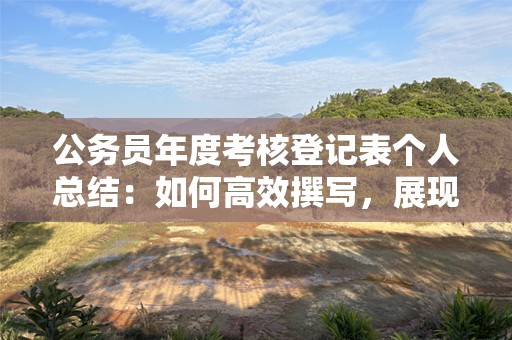 公务员年度考核登记表个人总结：如何高效撰写，展现你的职场风采