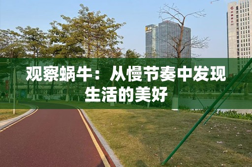 观察蜗牛：从慢节奏中发现生活的美好