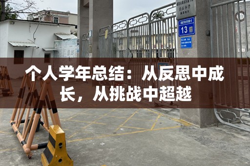个人学年总结：从反思中成长，从挑战中超越