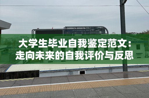 大学生毕业自我鉴定范文：走向未来的自我评价与反思