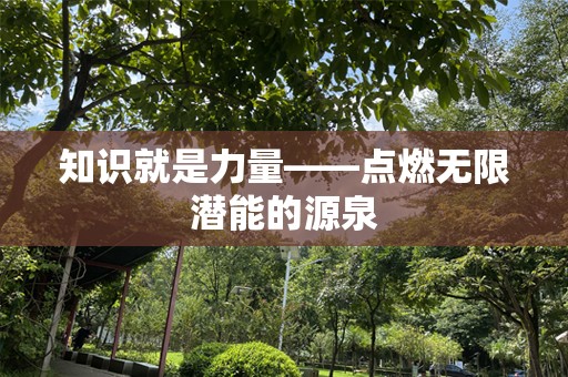 知识就是力量——点燃无限潜能的源泉
