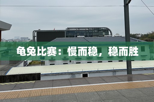 龟兔比赛：慢而稳，稳而胜