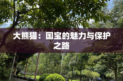 大熊猫：国宝的魅力与保护之路