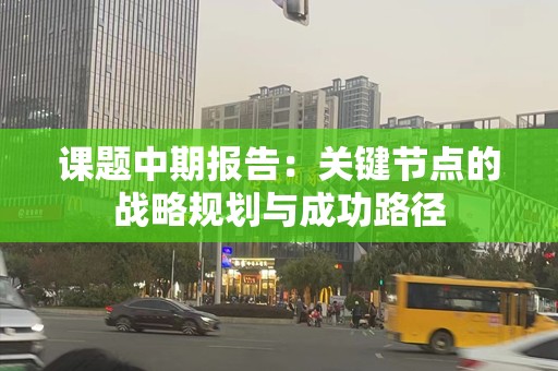 课题中期报告：关键节点的战略规划与成功路径