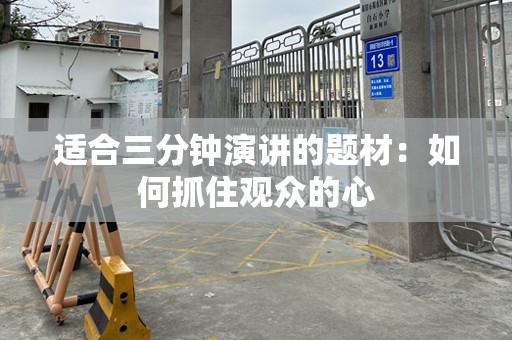 适合三分钟演讲的题材：如何抓住观众的心
