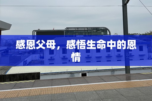感恩父母，感悟生命中的恩情
