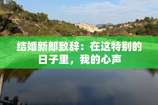 结婚新郎致辞：在这特别的日子里，我的心声