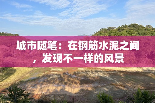 城市随笔：在钢筋水泥之间，发现不一样的风景