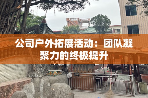 公司户外拓展活动：团队凝聚力的终极提升