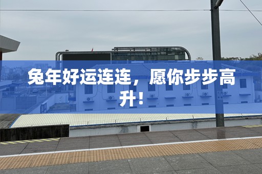 兔年好运连连，愿你步步高升！