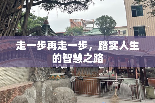 走一步再走一步，踏实人生的智慧之路