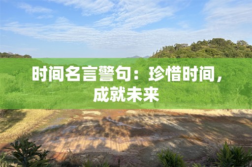 时间名言警句：珍惜时间，成就未来