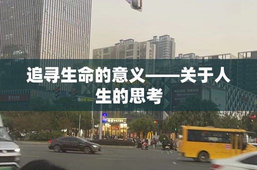 追寻生命的意义——关于人生的思考