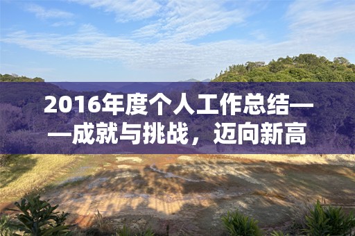 2016年度个人工作总结——成就与挑战，迈向新高