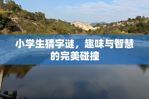 小学生猜字谜，趣味与智慧的完美碰撞