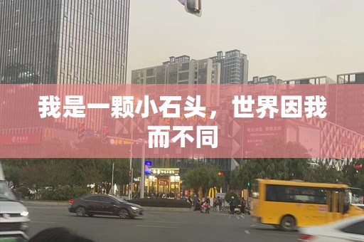 我是一颗小石头，世界因我而不同