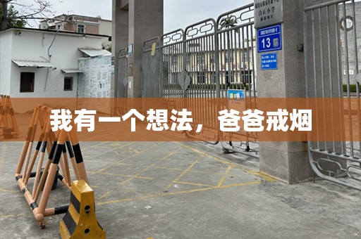 我有一个想法，爸爸戒烟
