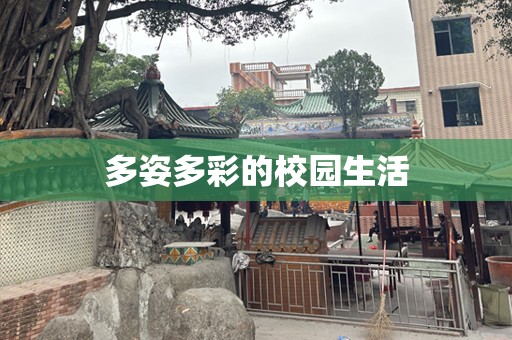 多姿多彩的校园生活
