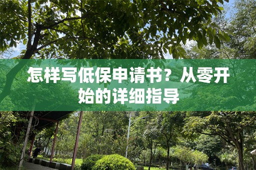怎样写低保申请书？从零开始的详细指导