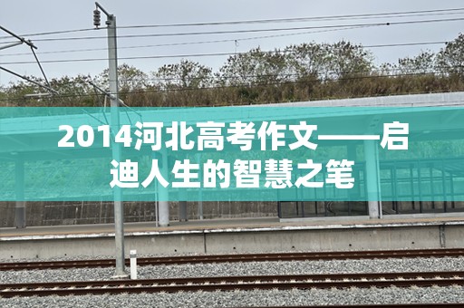 2014河北高考作文——启迪人生的智慧之笔