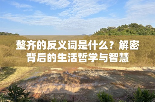 整齐的反义词是什么？解密背后的生活哲学与智慧